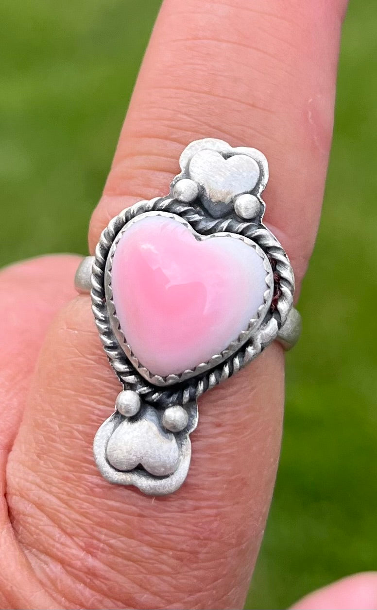 Pink Conch