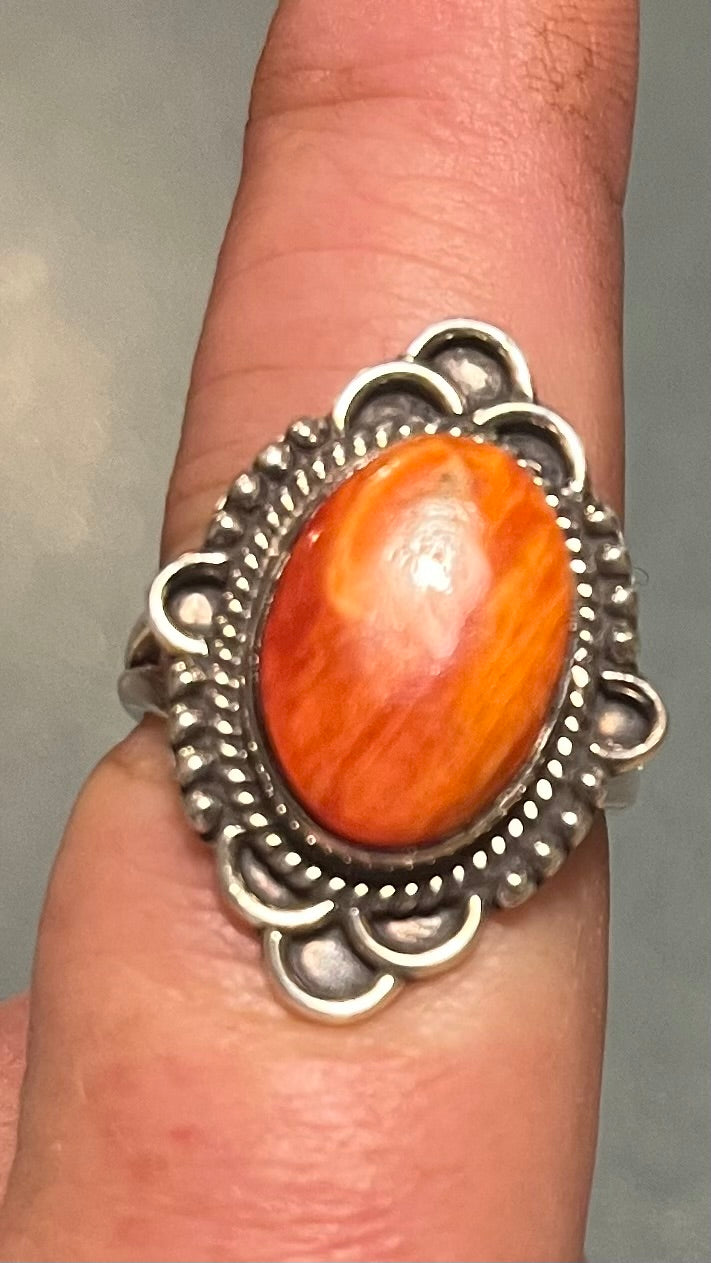 Orange Spiny Oyster