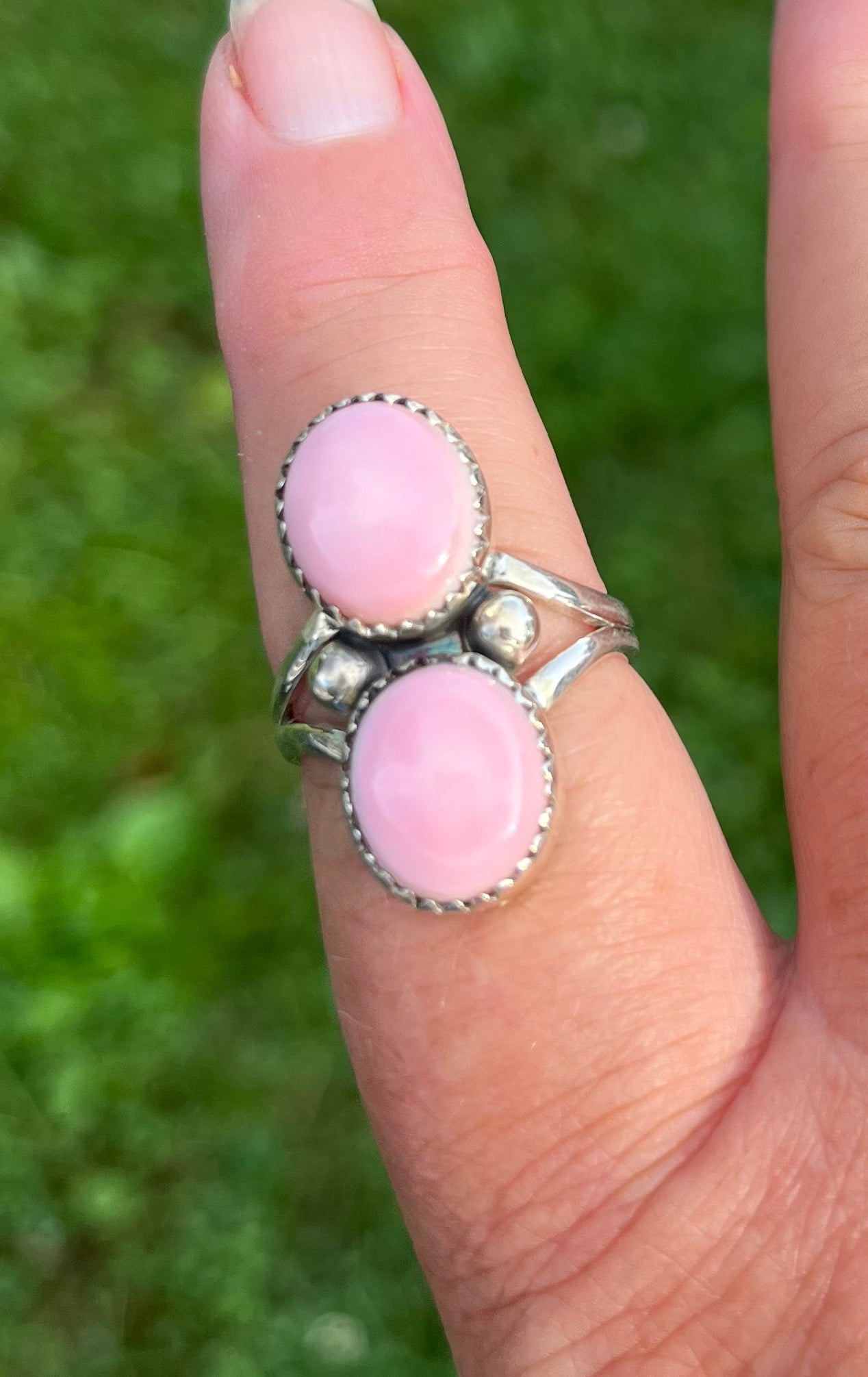 Pink Conch