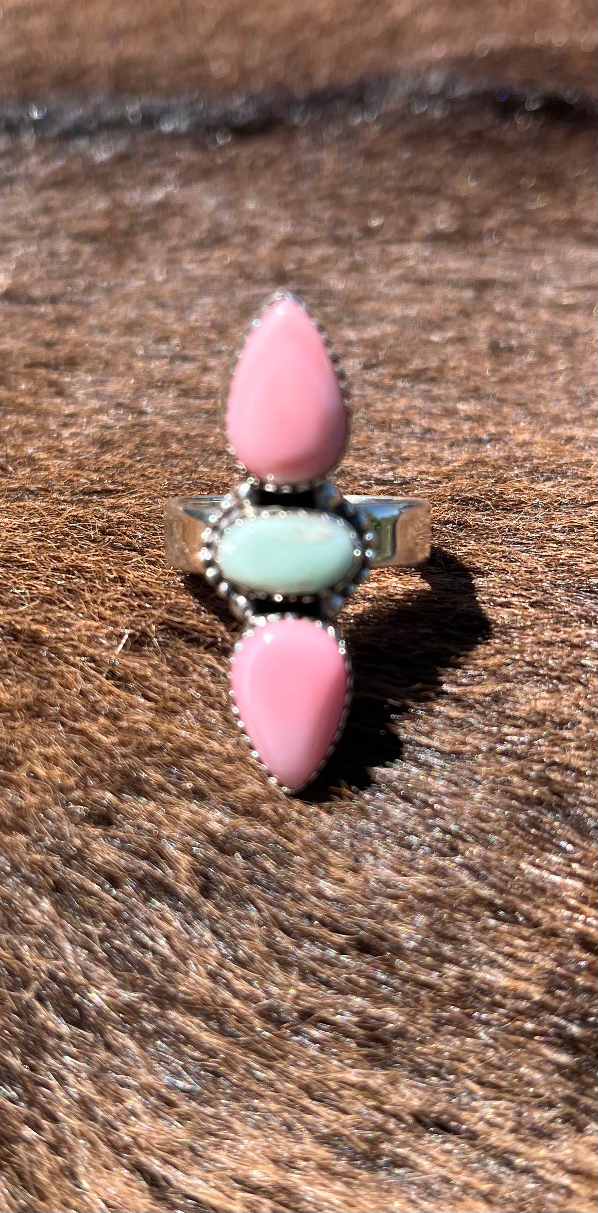 Pink Conch /Paloma