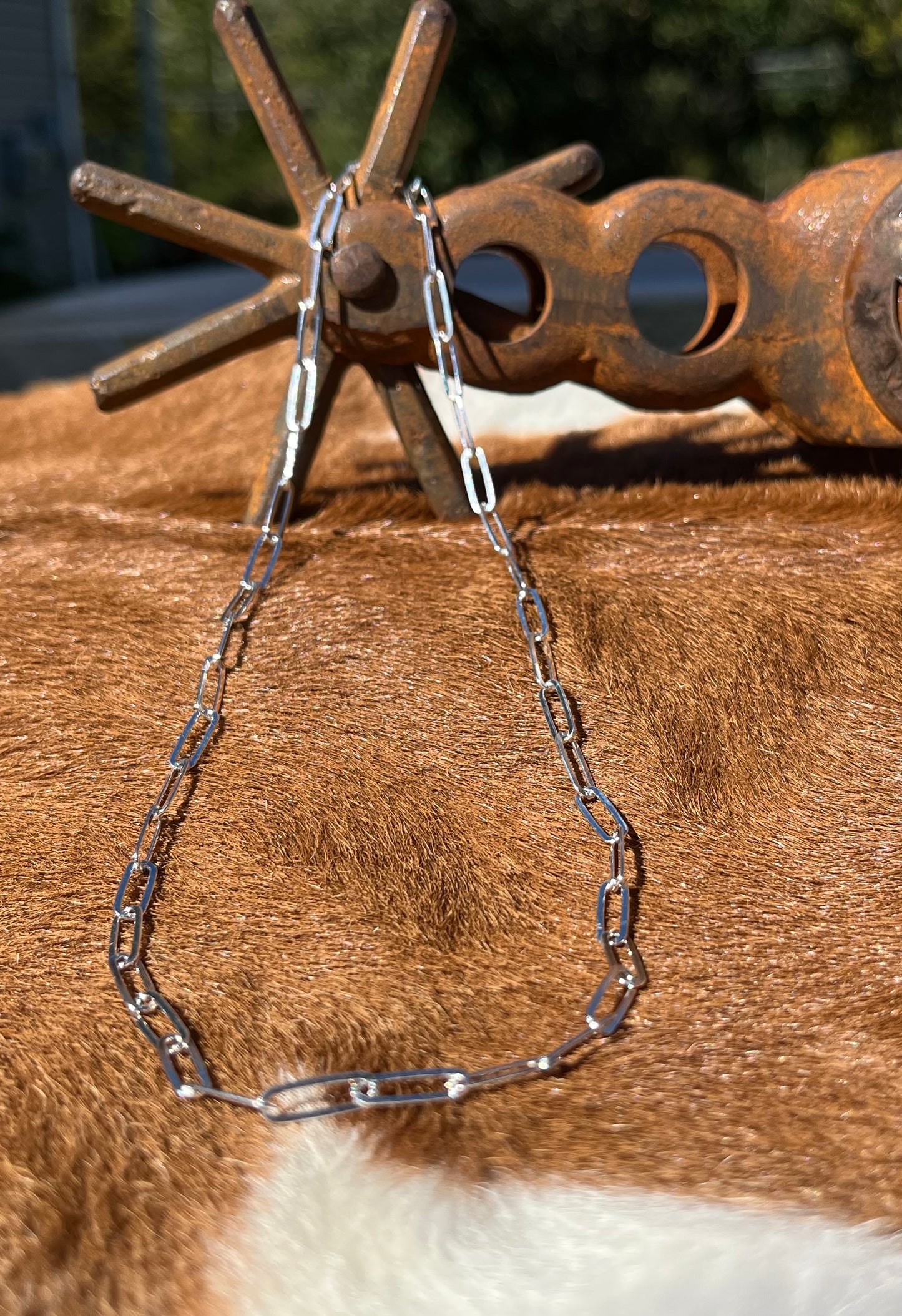 Sterling Silver Necklace