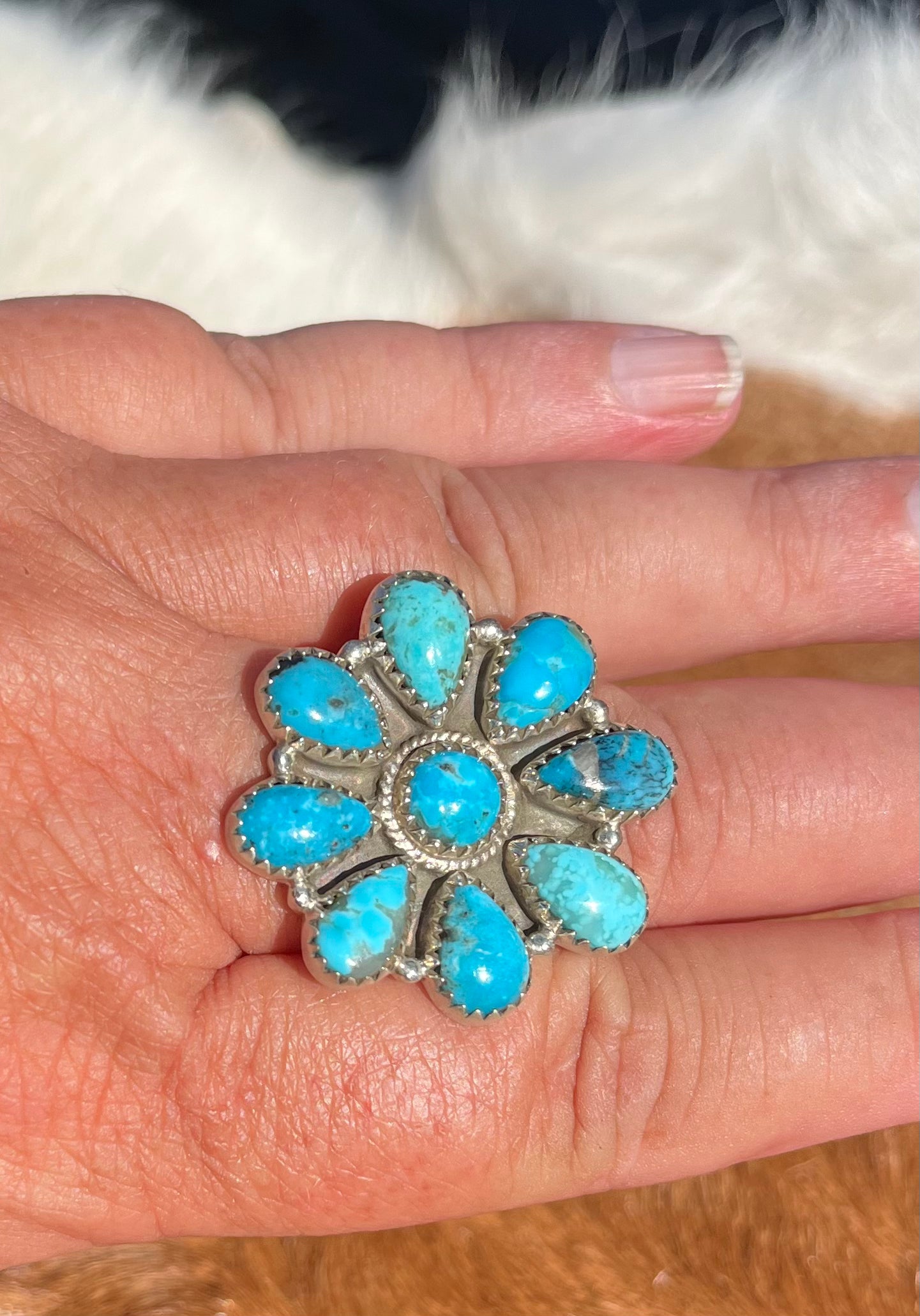 Ithaca Peak Ring