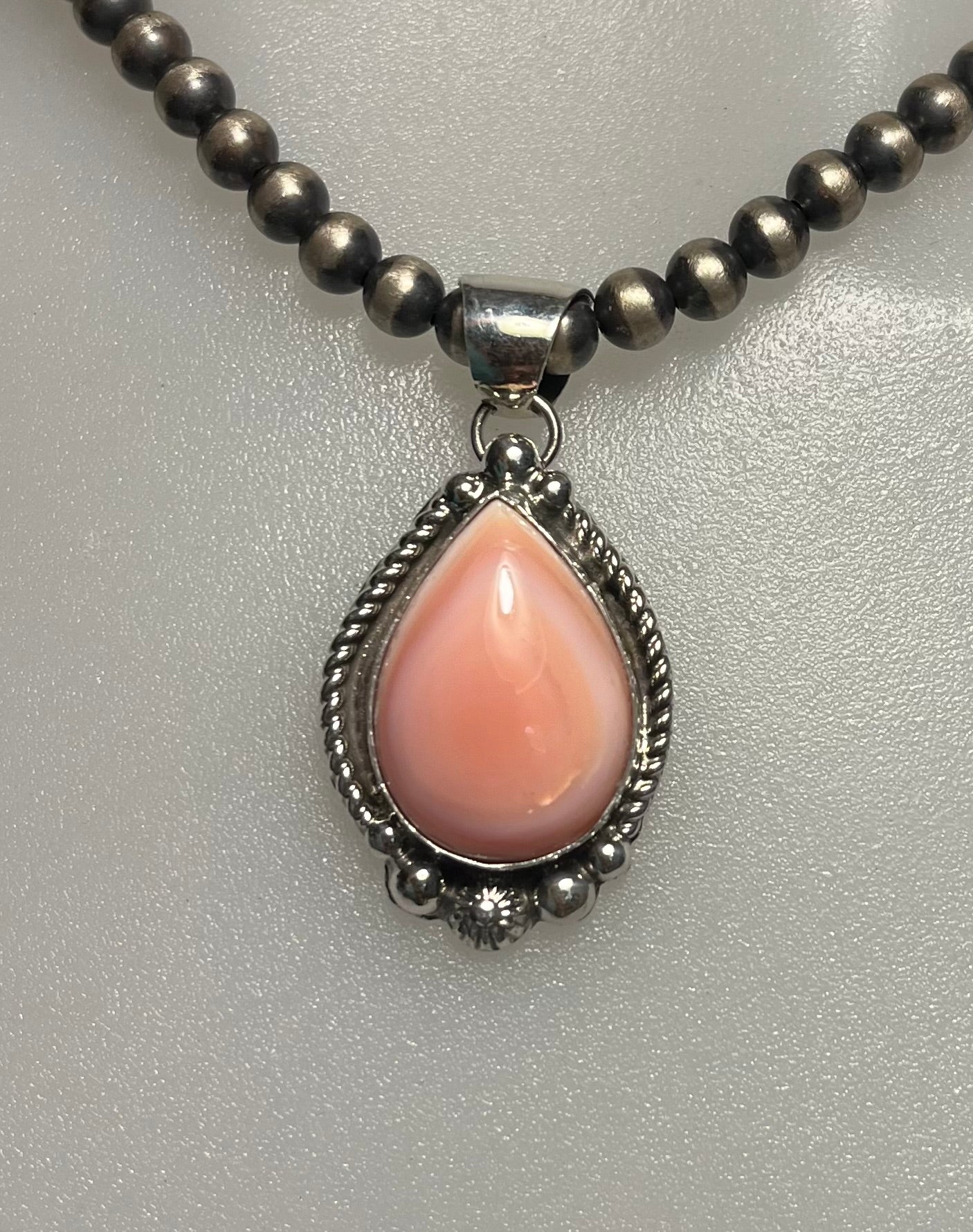 Pink Conch