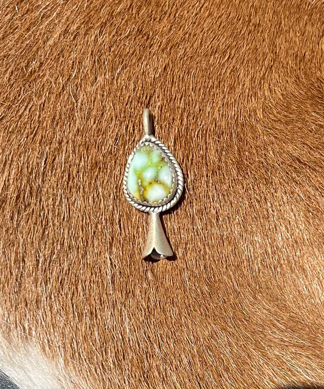 Palomino