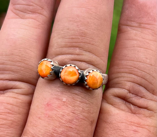 Orange Spiny Oyster