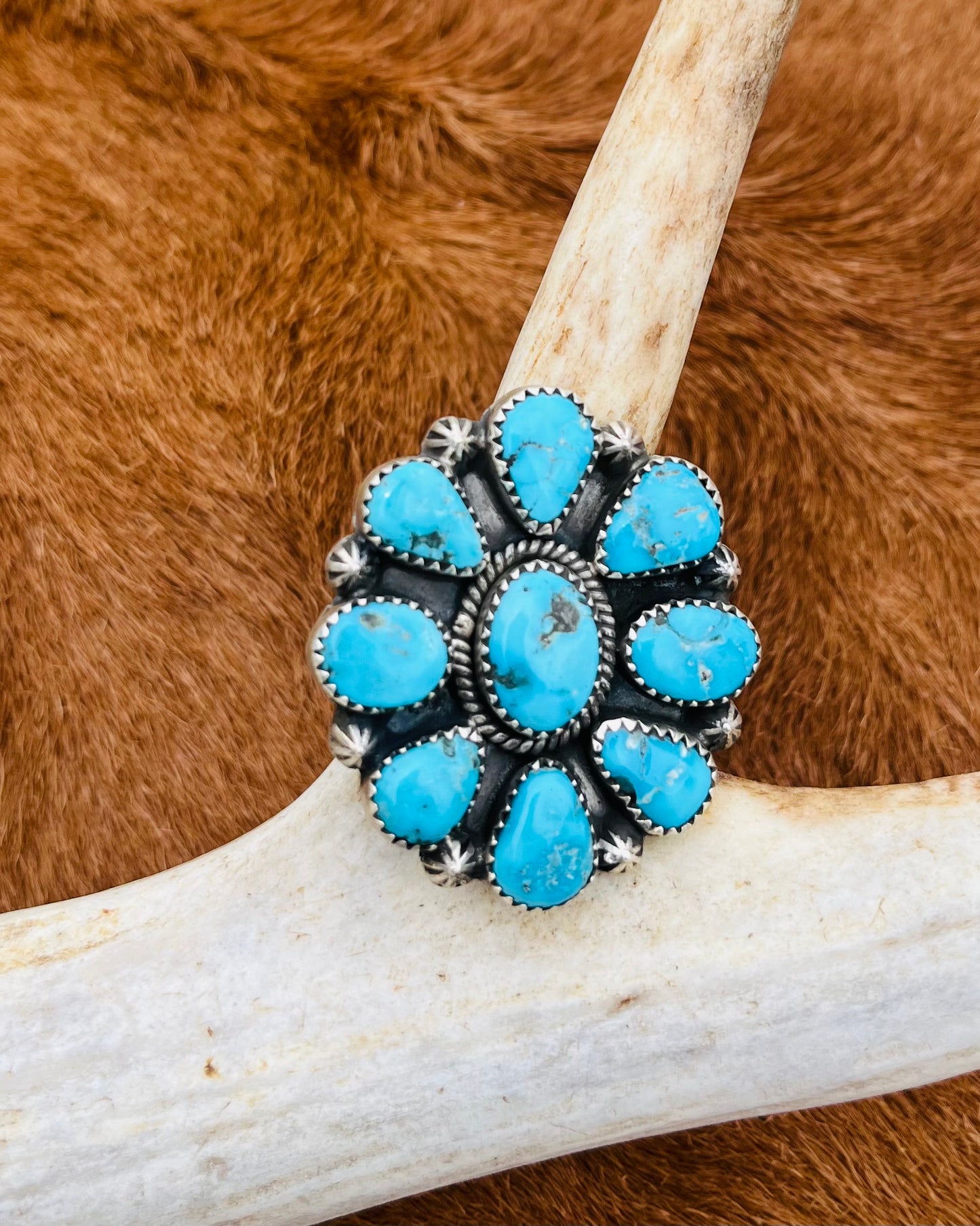 Sonoran Blue