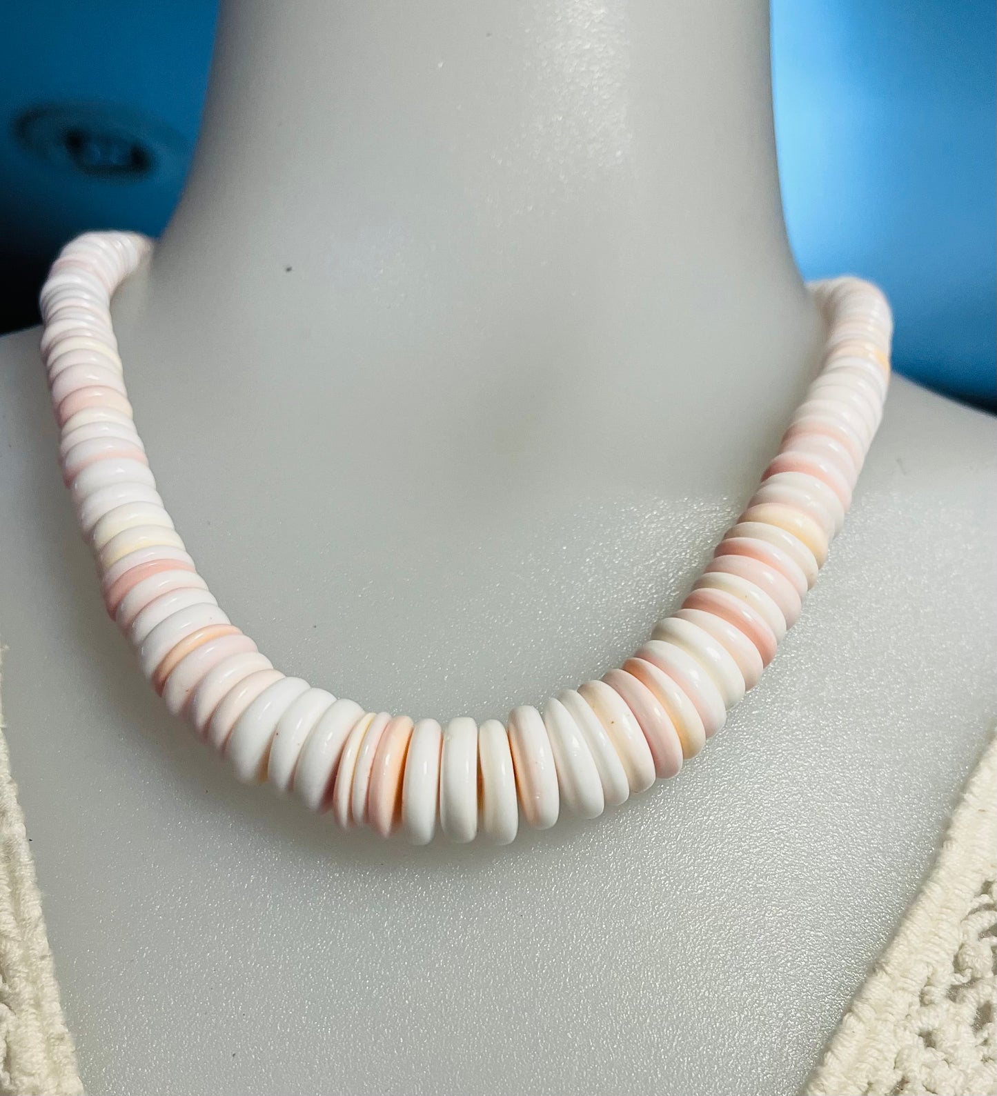 Pink Conch