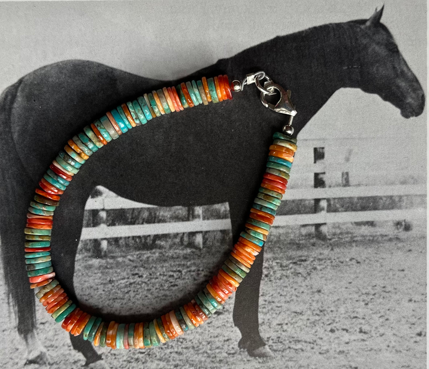 Orange Spiny/Turquoise