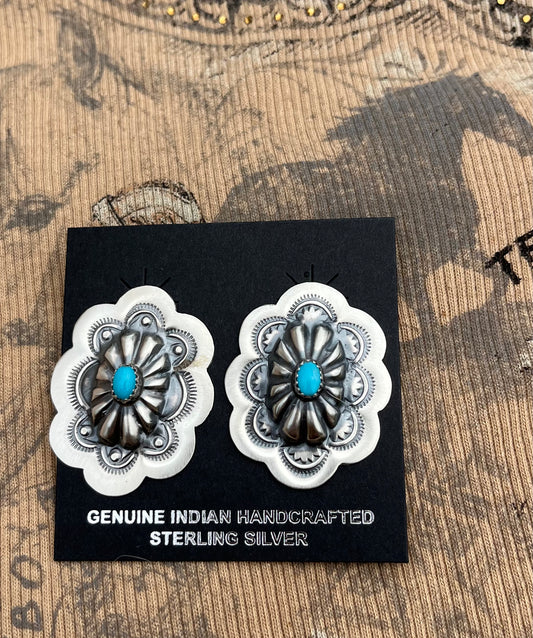Sterling Silver Earrings - Native
