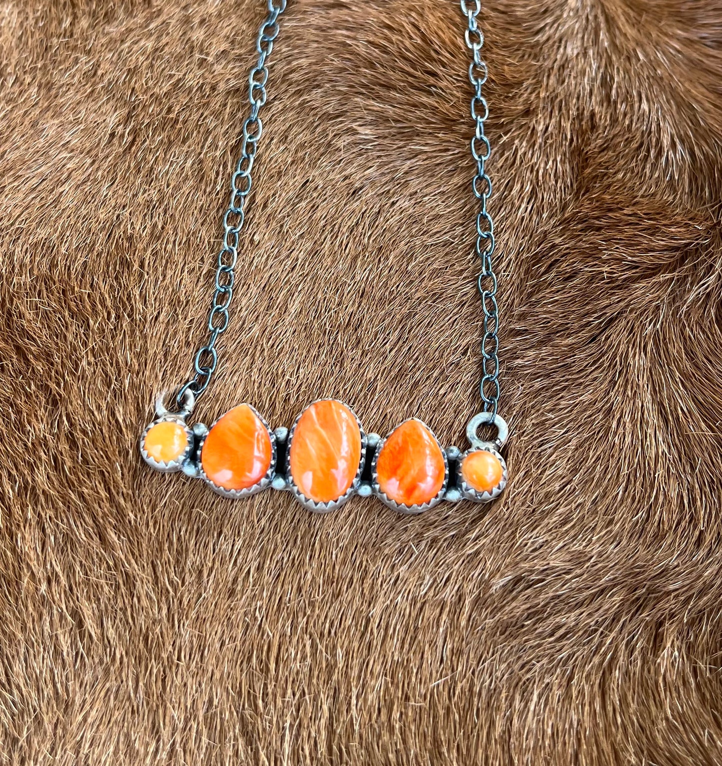 Orange Spiny Oyster